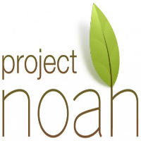 Proyecto Noah: todos somos científicos