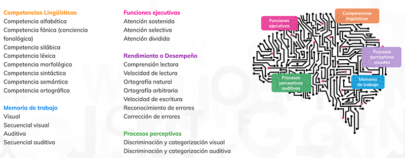 Curar dislexia_Dytective