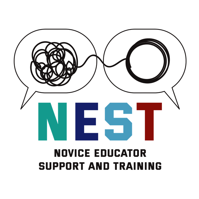Projeto NEST: tutoria para professores novatos em escolas vulneráveis
